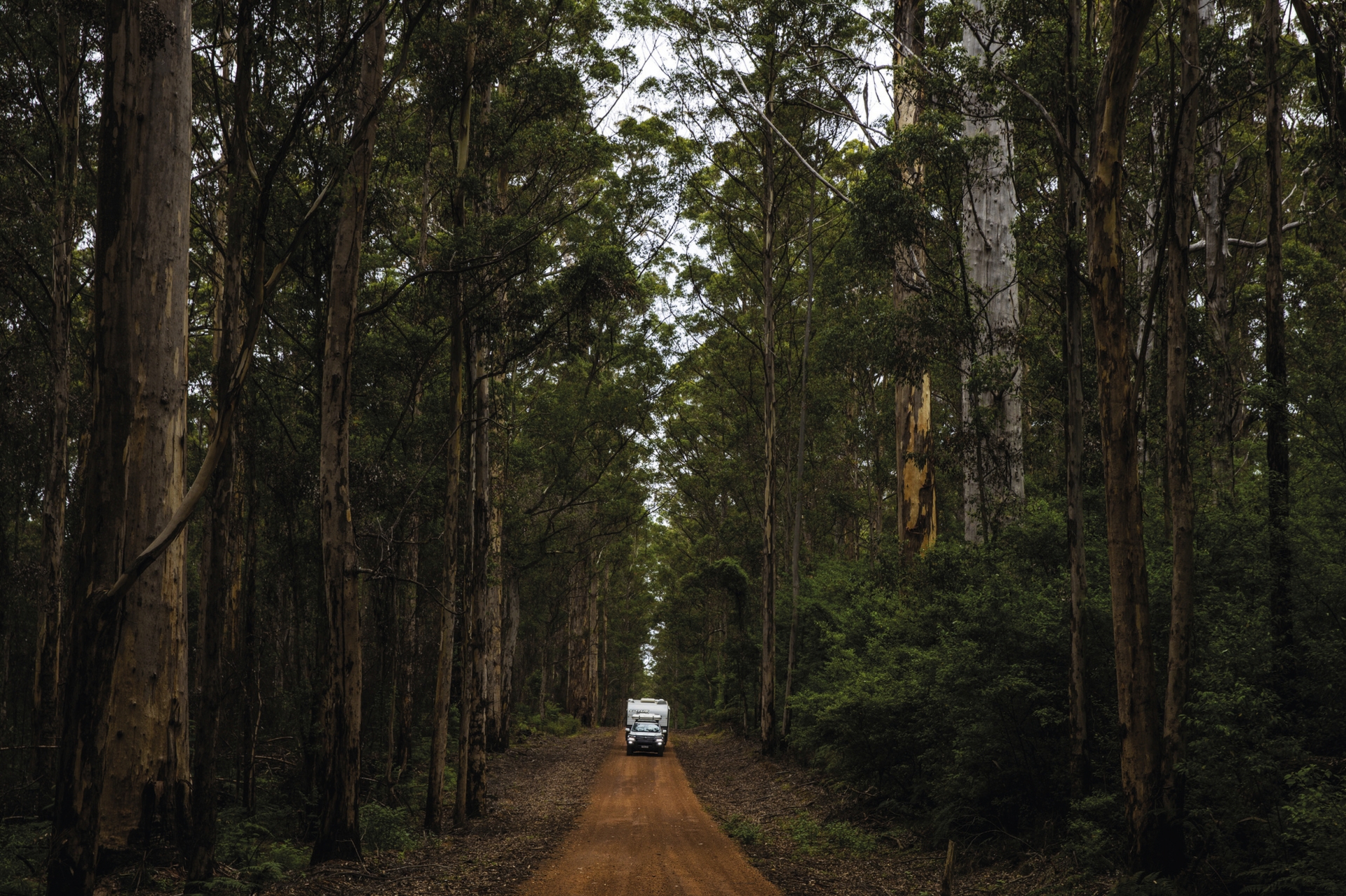 Pemberton in Westaustralien