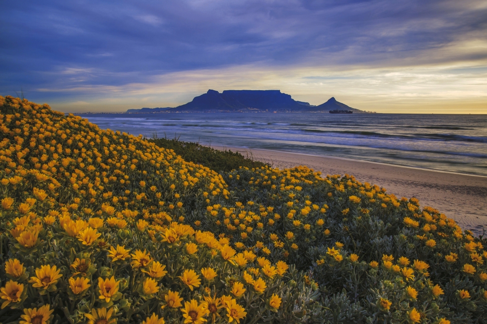 View from Bloubergstrand to Table Mountain