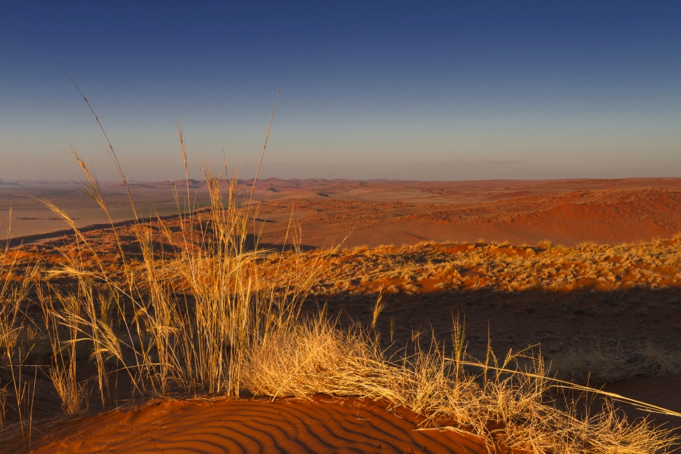 Elim-Düne bei Sossusvlei