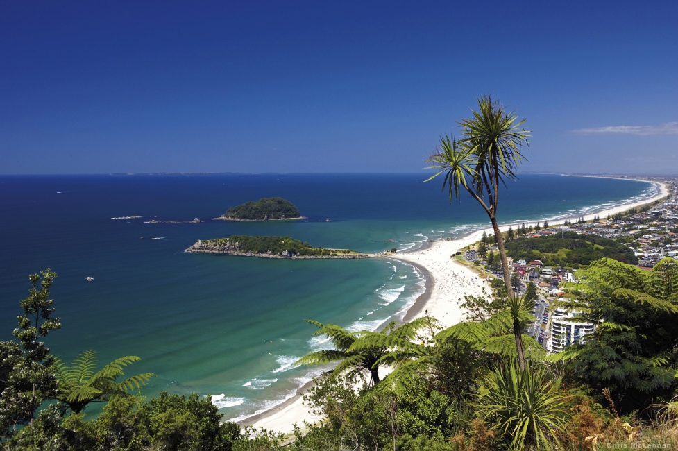 Spiaggia nella Bay of Islands