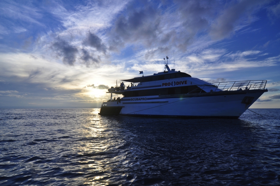 Tauchschiff von Pro Dive am Great Barrier Reef