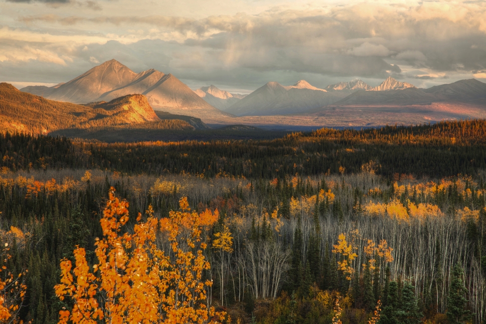Panorama montano nel Parco nazionale di Denali