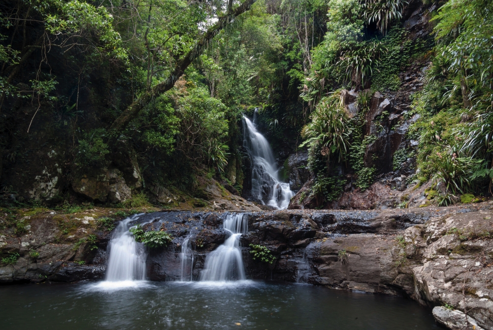 Cascate Elabana nelle Green Mountains, Parco nazionale di Lamington