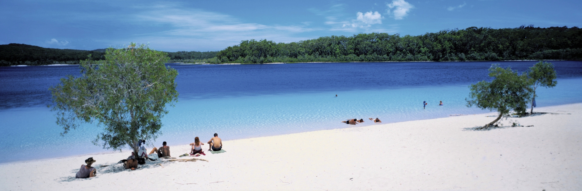 Beach life on Fraser Island