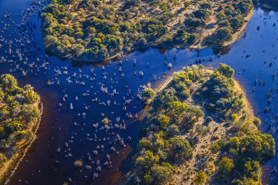 Panorama del delta dell'Okavango