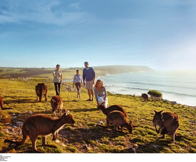 Famiglia con canguri su Kangaroo Island